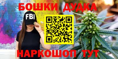 крисы Нальчик