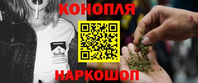 крисы Нальчик