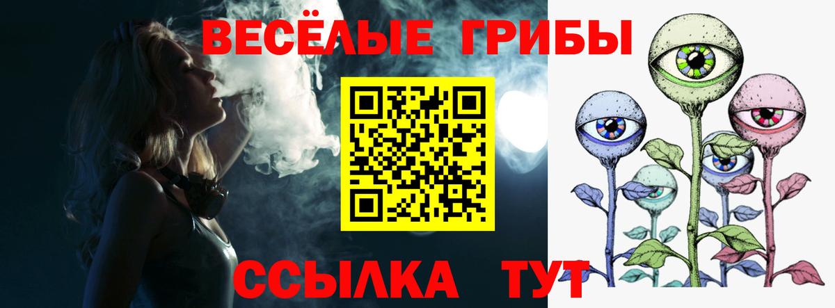 Псилоцибиновые грибы Psilocybe  Вход с VPN  Улан-Удэ 