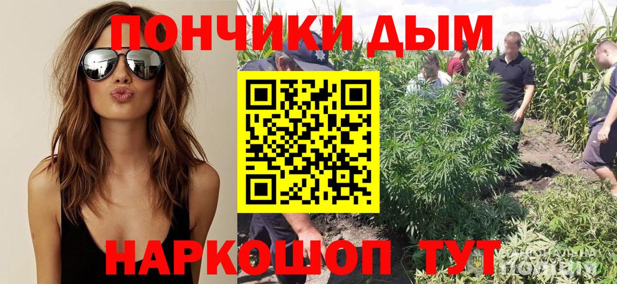 Улан-Удэ  Конопля гибрид  Бошки Шишки марихуана  МАРИХУАНА ГИДРОПОН  Вход с VPN  Каннабис MAZAR 
